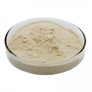 Chlorella Growth Factor