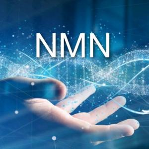 β-Nicotinamide Mononucleotide (NMN) 